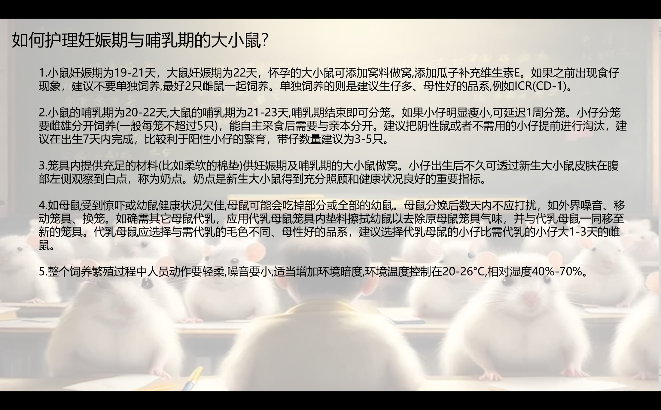 小鼠繁育04.png